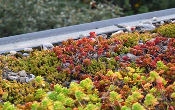 the cost of Wothorpe green roof installation