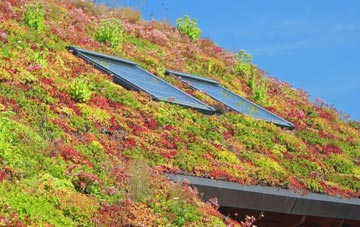 Wothorpe living roof systems