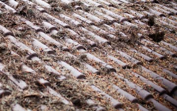 Wothorpe roof cleaning companies